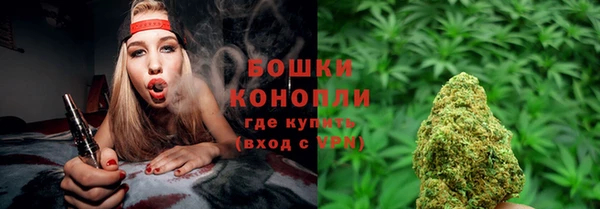 спайс Бородино