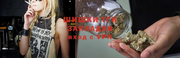 шишки Богородск