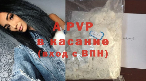 ECSTASY Бикин