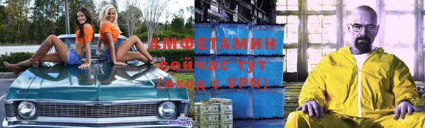 ECSTASY Богородицк