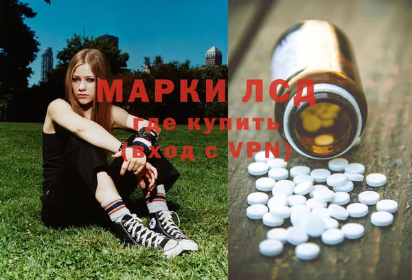 шишки Богородск
