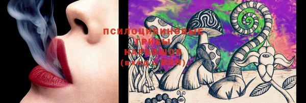 ECSTASY Богородицк