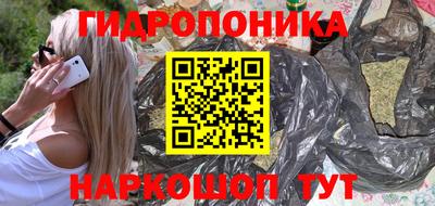 крисы Бийск