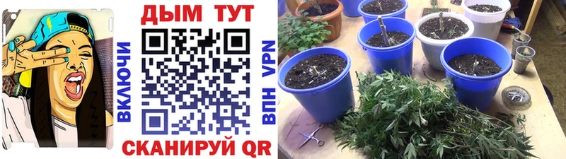 блэк спрут ссылки  Вятские Поляны  Бошки марихуана Bruce Banner  магазин   
